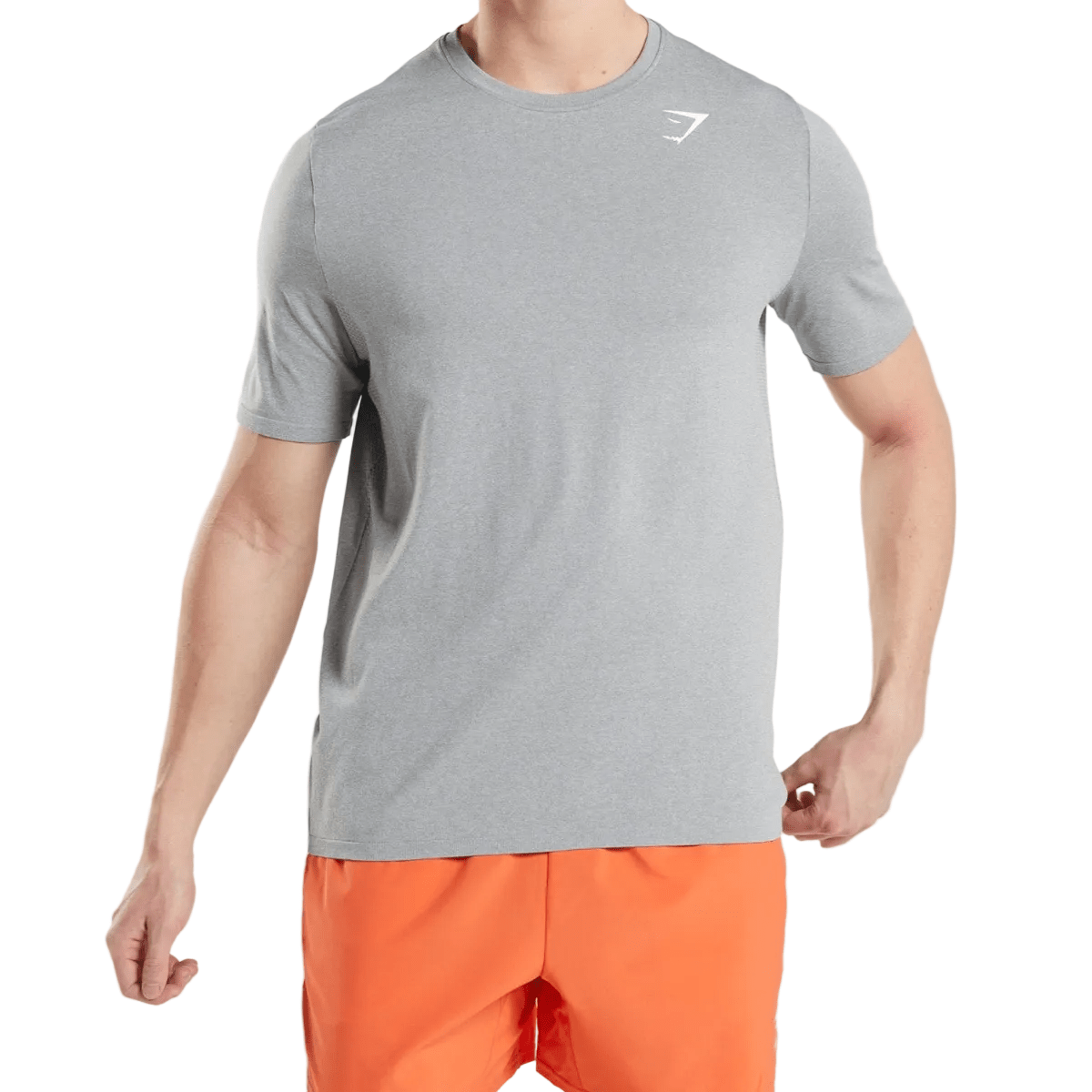 Gymshark Arrival Seamless T-shirt 'Grey' T-Shirts Gymshark