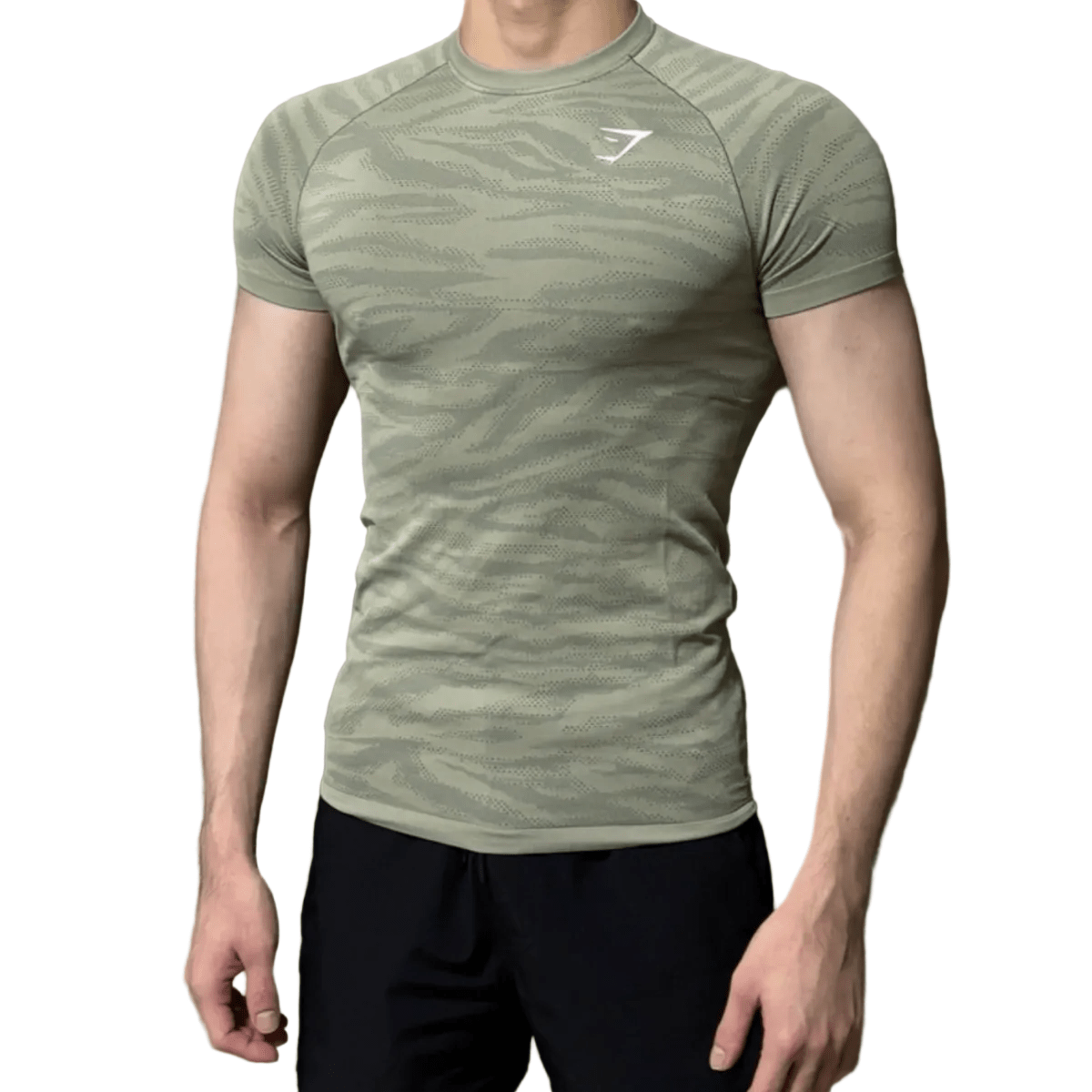 Gymshark Geo Animal Seamless T-shirt 'Chalk Green' T-Shirts Gymshark