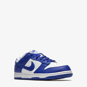Nike Dunk Low Retro SP 'Kentucky' Sneakers Nike